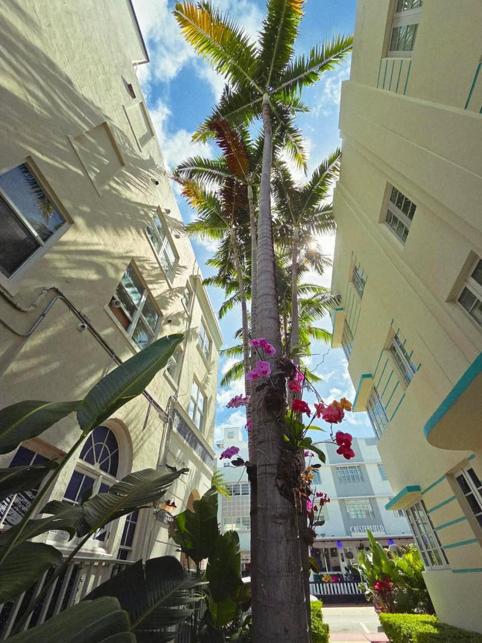 Luxuri Suites Miami Beach Buitenkant foto